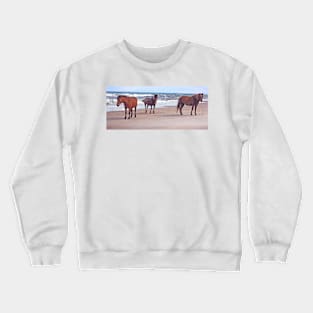 Wild horses, wildlife, A Trio of Beach Buddies Crewneck Sweatshirt